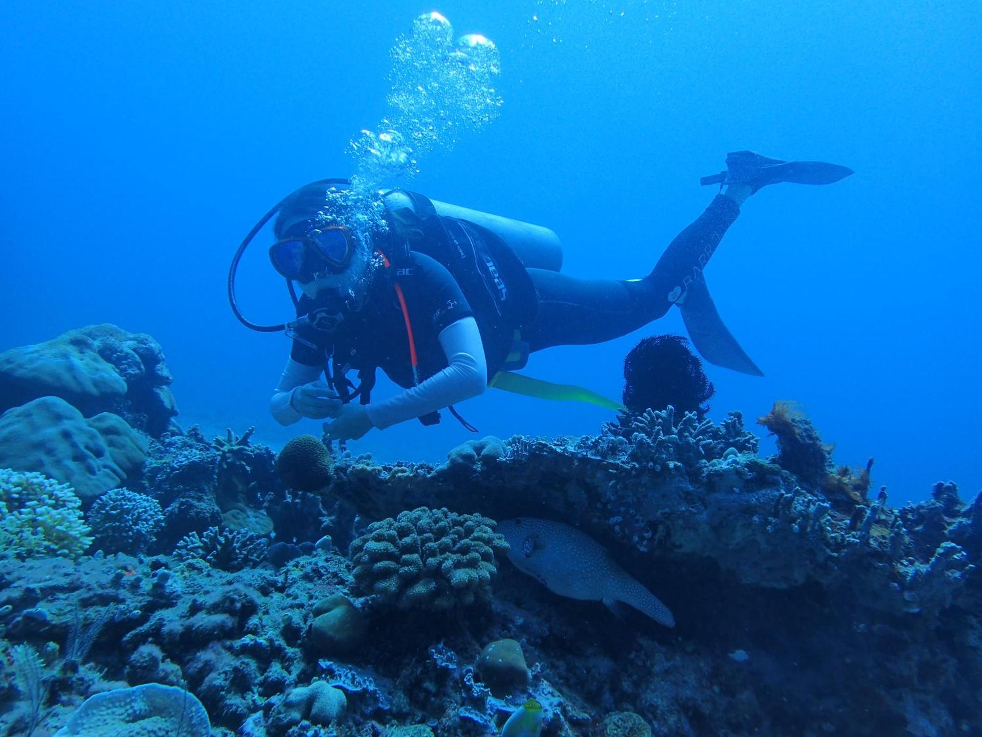 East Lombok Dive Hotel - 3 Private Rooms On The Beach With Seaview & Scuba Diving Center Labuhan Pandan Exterior foto