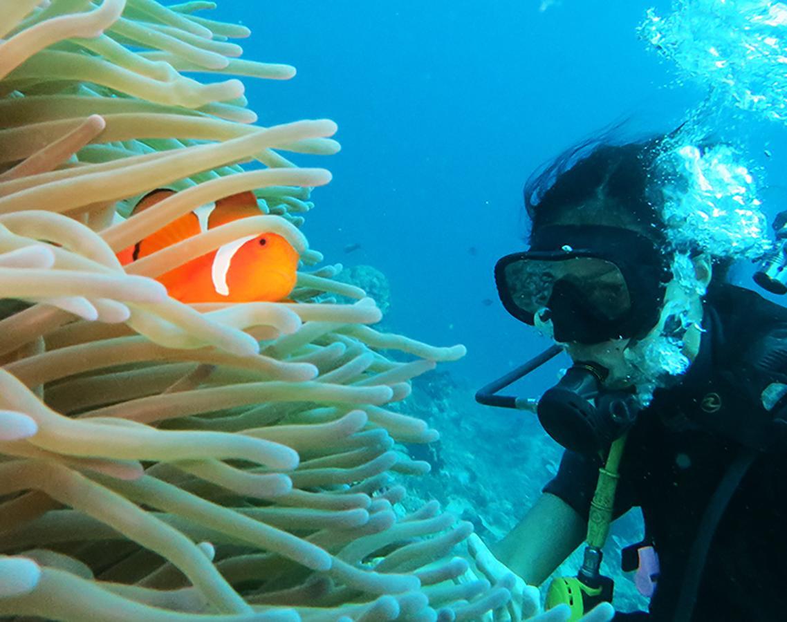 East Lombok Dive Hotel - 3 Private Rooms On The Beach With Seaview & Scuba Diving Center Labuhan Pandan Exterior foto