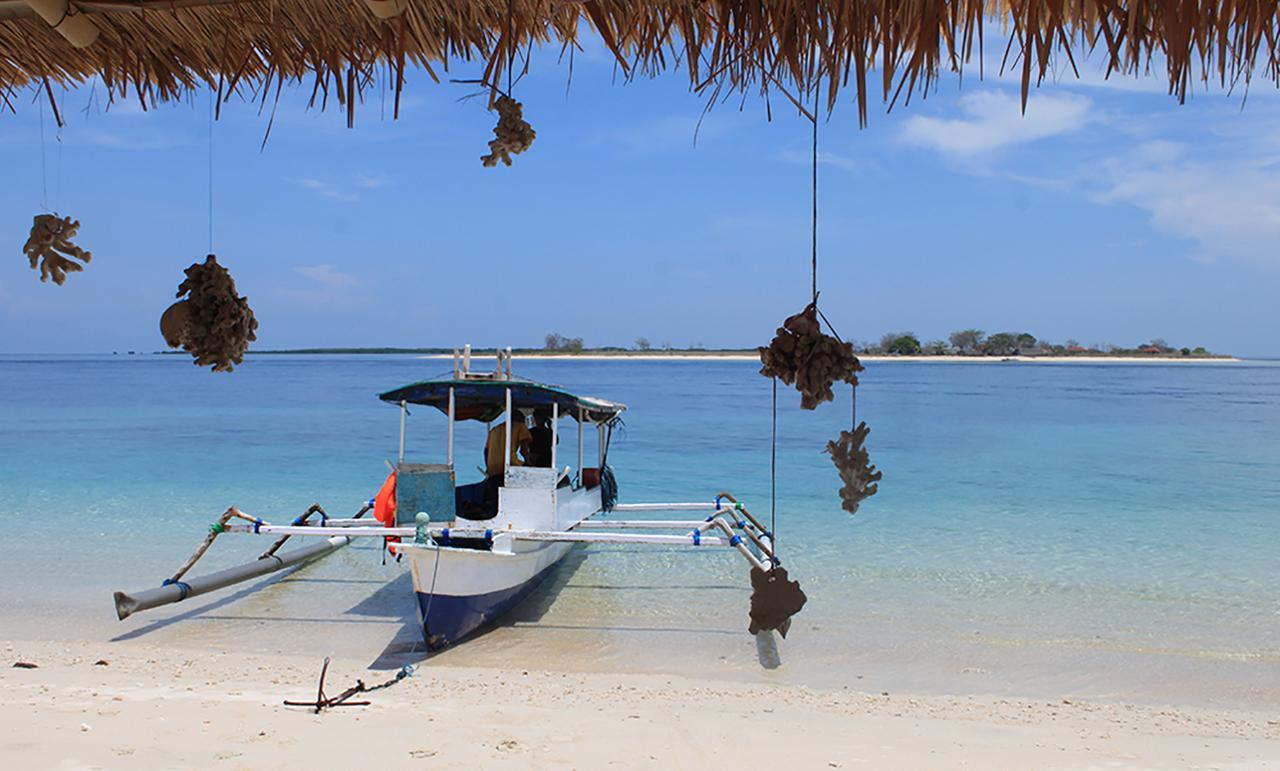 East Lombok Dive Hotel - 3 Private Rooms On The Beach With Seaview & Scuba Diving Center Labuhan Pandan Exterior foto