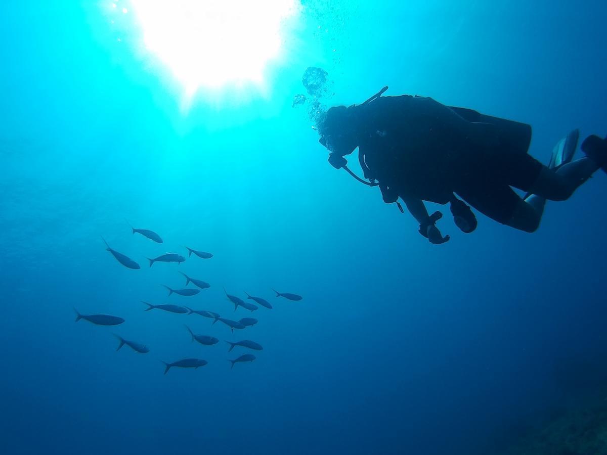 East Lombok Dive Hotel - 3 Private Rooms On The Beach With Seaview & Scuba Diving Center Labuhan Pandan Exterior foto